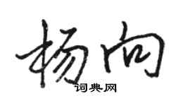 骆恒光杨向行书个性签名怎么写
