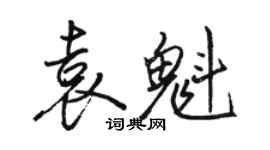 骆恒光袁魁行书个性签名怎么写
