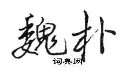 骆恒光魏朴行书个性签名怎么写