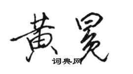 骆恒光黄冕行书个性签名怎么写