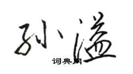 骆恒光孙溢行书个性签名怎么写