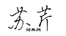 骆恒光苏芹行书个性签名怎么写