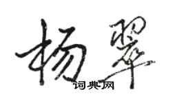 骆恒光杨翠行书个性签名怎么写