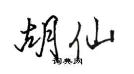 骆恒光胡仙行书个性签名怎么写