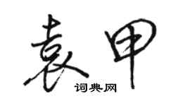 骆恒光袁甲行书个性签名怎么写