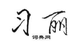 骆恒光习丽行书个性签名怎么写