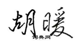 骆恒光胡暖行书个性签名怎么写