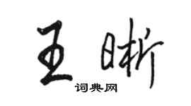 骆恒光王晰行书个性签名怎么写