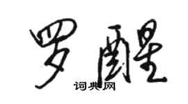 骆恒光罗醒行书个性签名怎么写
