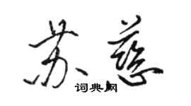 骆恒光苏慈行书个性签名怎么写
