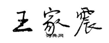 曾庆福王家震行书个性签名怎么写