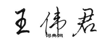 骆恒光王伟君行书个性签名怎么写