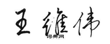 骆恒光王维伟行书个性签名怎么写