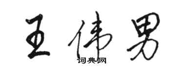 骆恒光王伟男行书个性签名怎么写