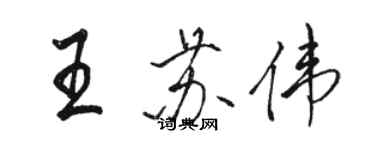 骆恒光王苏伟行书个性签名怎么写
