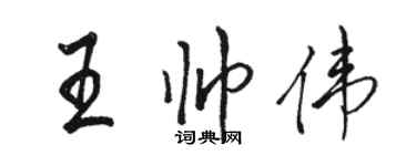 骆恒光王帅伟行书个性签名怎么写