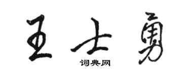 骆恒光王士勇行书个性签名怎么写