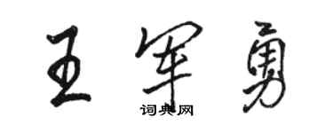 骆恒光王军勇行书个性签名怎么写