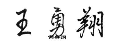 骆恒光王勇翔行书个性签名怎么写
