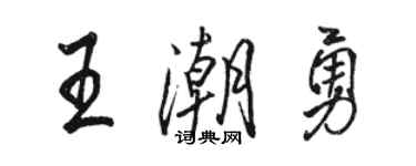 骆恒光王潮勇行书个性签名怎么写