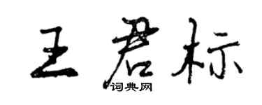 曾庆福王君标行书个性签名怎么写