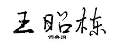 曾庆福王昭栋行书个性签名怎么写
