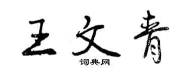 曾庆福王文青行书个性签名怎么写