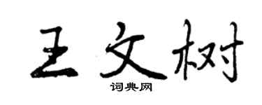 曾庆福王文树行书个性签名怎么写