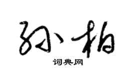 梁锦英孙柏草书个性签名怎么写