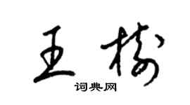 梁锦英王树草书个性签名怎么写