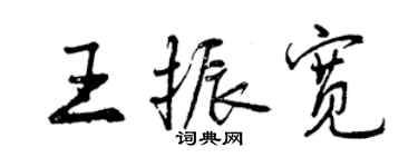 曾庆福王振宽行书个性签名怎么写