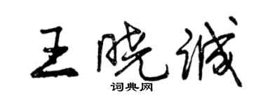 曾庆福王晓诚行书个性签名怎么写