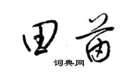 梁锦英田苗草书个性签名怎么写