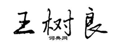 曾庆福王树良行书个性签名怎么写