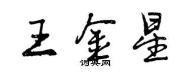 曾庆福王金星行书个性签名怎么写