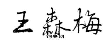 曾庆福王森梅行书个性签名怎么写