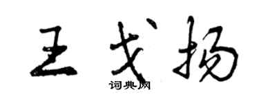 曾庆福王戈扬行书个性签名怎么写