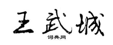 曾庆福王武城行书个性签名怎么写