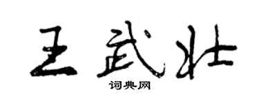 曾庆福王武壮行书个性签名怎么写