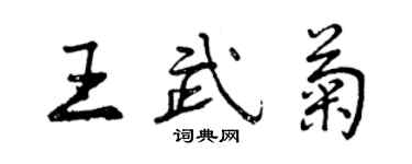 曾庆福王武菊行书个性签名怎么写