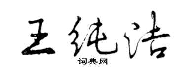 曾庆福王纯洁行书个性签名怎么写