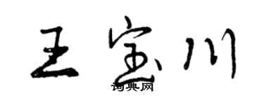 曾庆福王宝川行书个性签名怎么写