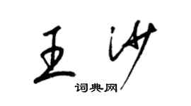 梁锦英王沙草书个性签名怎么写