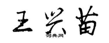 曾庆福王兴苗行书个性签名怎么写