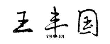曾庆福王丰国行书个性签名怎么写