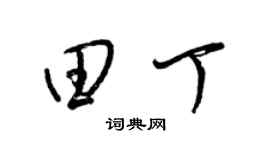 梁锦英田丁草书个性签名怎么写
