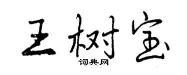 曾庆福王树宝行书个性签名怎么写