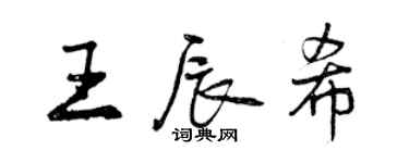 曾庆福王辰希行书个性签名怎么写