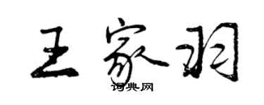 曾庆福王家羽行书个性签名怎么写