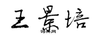 曾庆福王景培行书个性签名怎么写